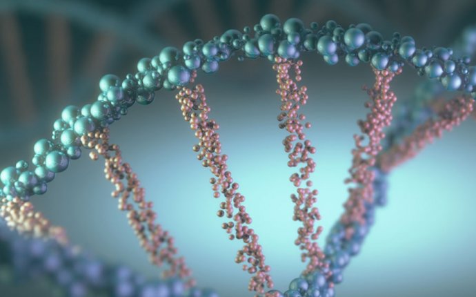 Human genetic disease | Britannica.com