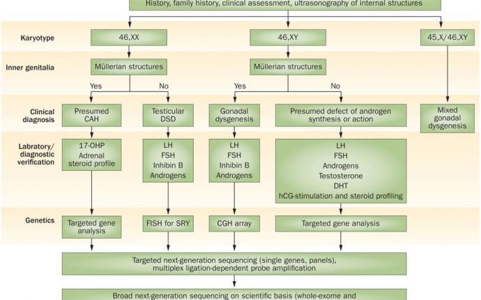 Management of disorders of sex development : Nature Reviews