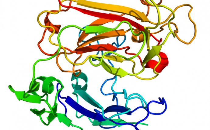 Reelin Protein Diagnostic Test for Mental Disorders - z02081