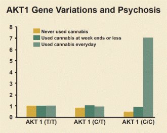 Bar graph comparing AKT1 gene variants and their carriers' risk for psychosis