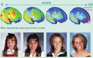 Diagram shows maturing brain areas from the age of 5 to 20