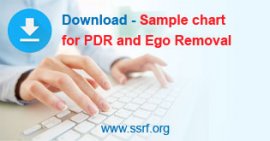 Download-PDR-chart-button