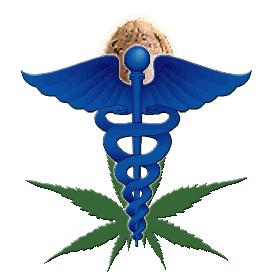 Marijuana Medicine Mind
