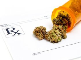 Medical Marijuana for Psychiatric Disorders